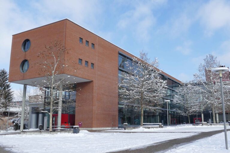 Christmas break at our chair